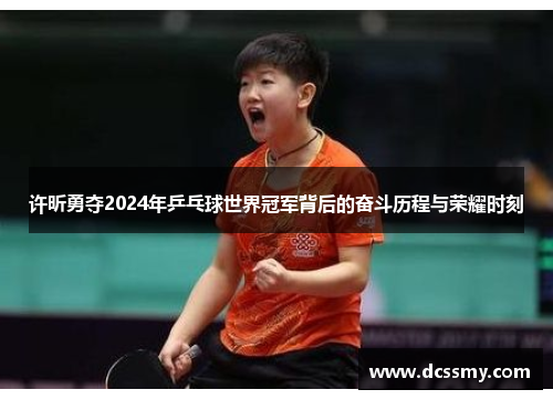 许昕勇夺2024年乒乓球世界冠军背后的奋斗历程与荣耀时刻
