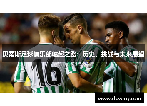 贝蒂斯足球俱乐部崛起之路：历史、挑战与未来展望