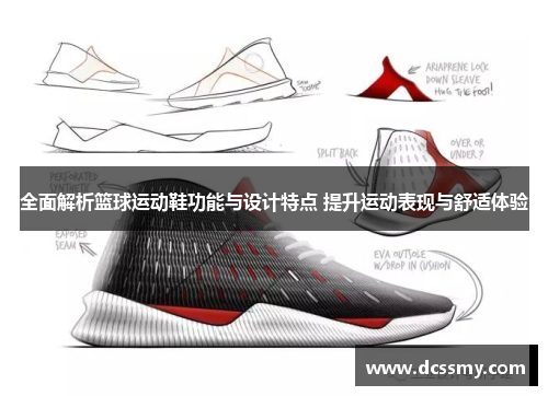 全面解析篮球运动鞋功能与设计特点 提升运动表现与舒适体验