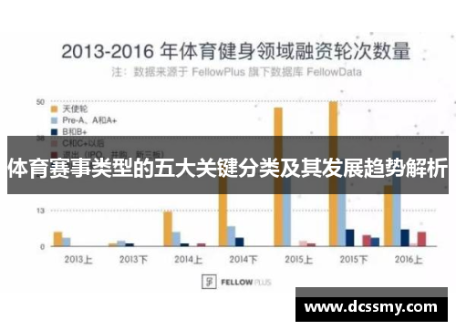 体育赛事类型的五大关键分类及其发展趋势解析